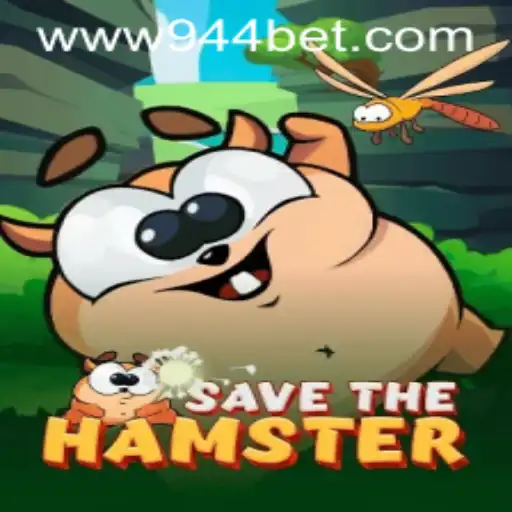 944bet PH Login Casino App